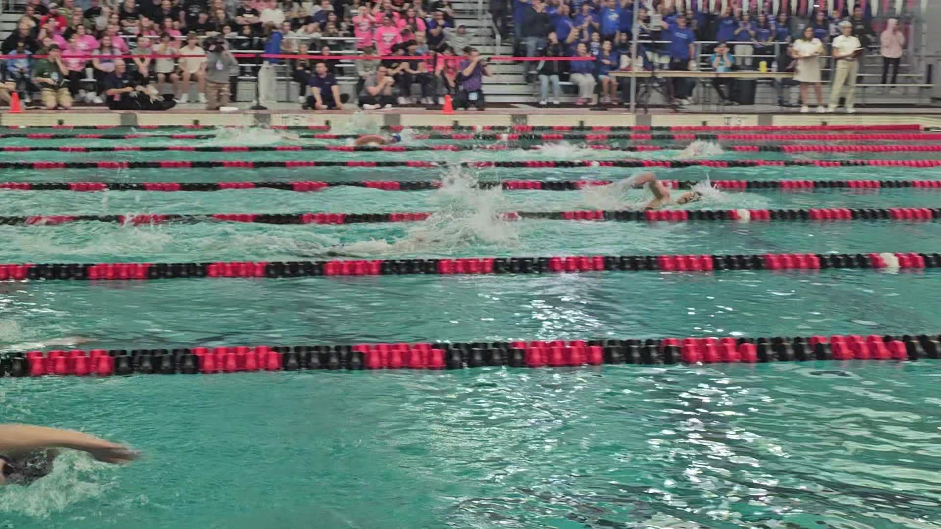 Mount Horeb's Ava Newman finishes sixth in Division 2 200 freestyle